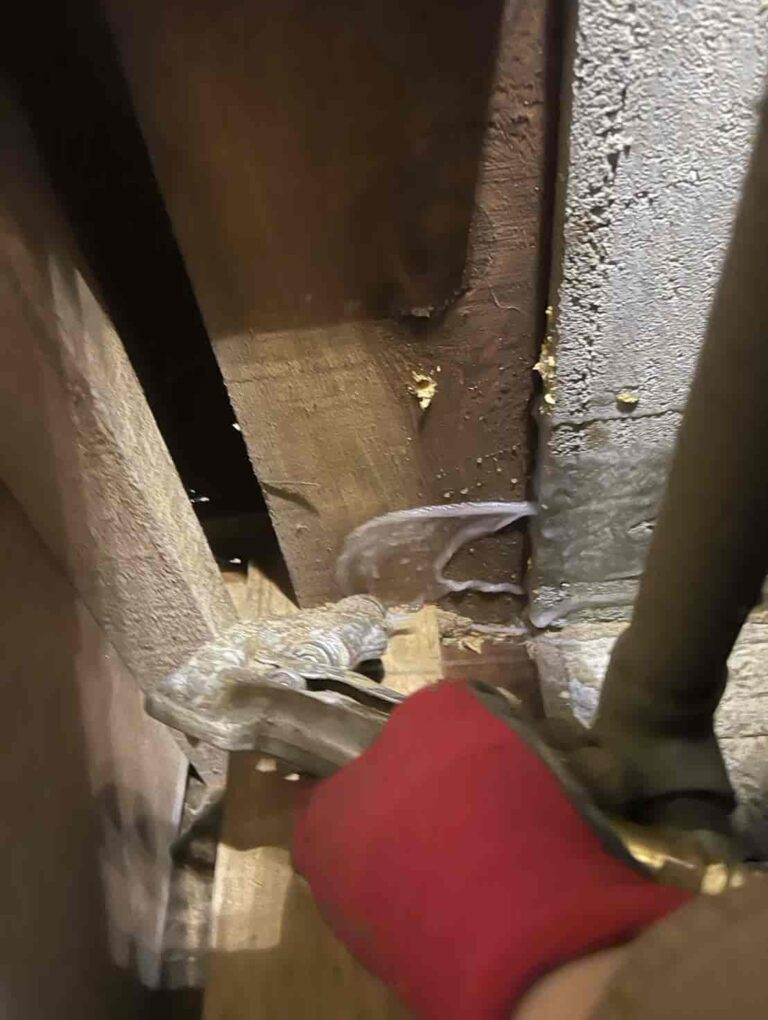 シロアリ駆除｜埼玉県鴻巣市