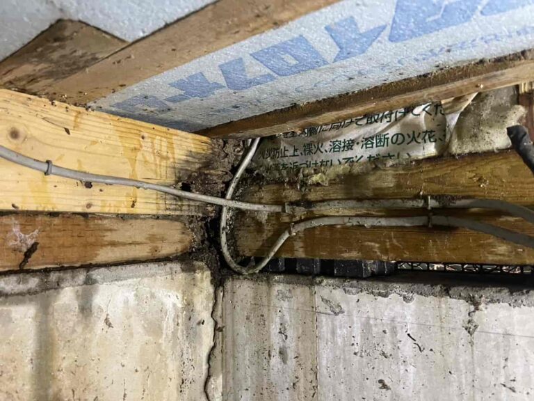 シロアリ駆除｜埼玉県川口市