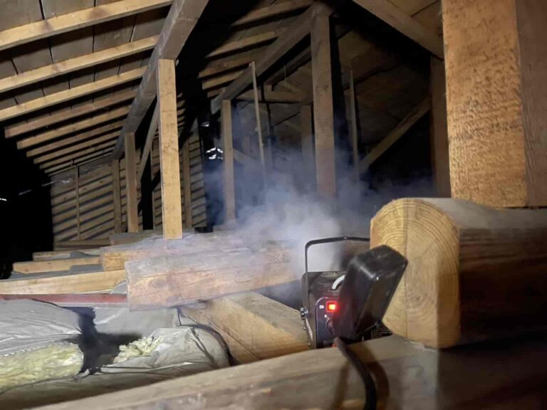 害獣駆除｜東京都江東区