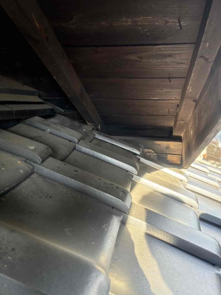 害獣対策｜熊本市南区