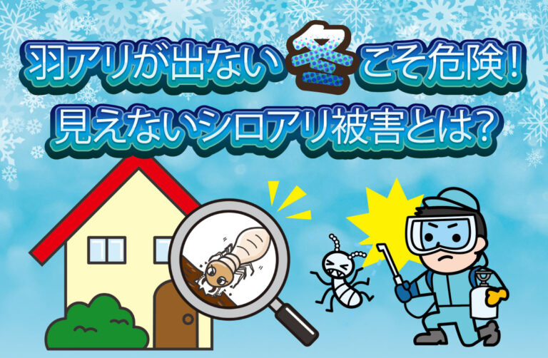 【冬の見えないシロアリ被害】羽アリが出ない冬こそ危険！