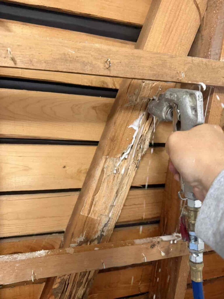 イエシロアリ駆除｜和歌山県岩出市