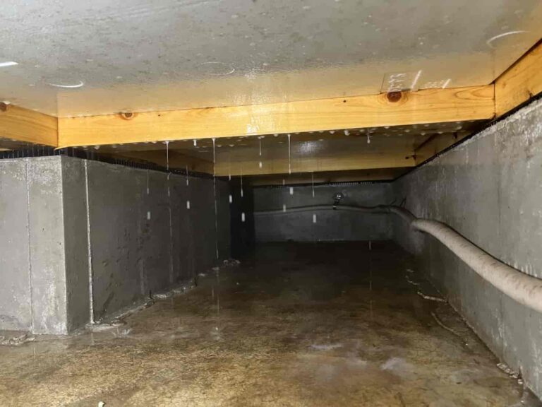 シロアリ消毒工事｜千葉県船橋市