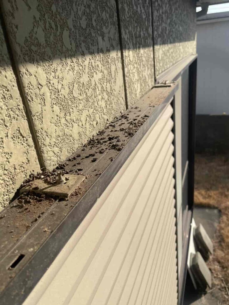 コウモリ対策工事｜徳島県小松島市