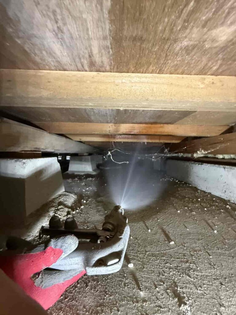 シロアリ消毒工事｜徳島県徳島市