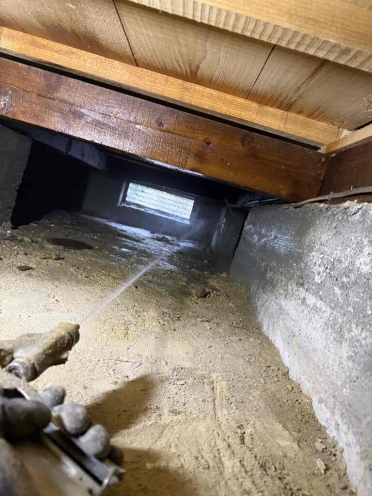 シロアリ消毒工事｜京都市右京区