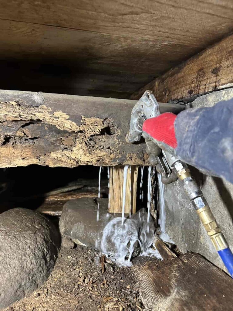 シロアリ駆除工事｜鳥取市国府町