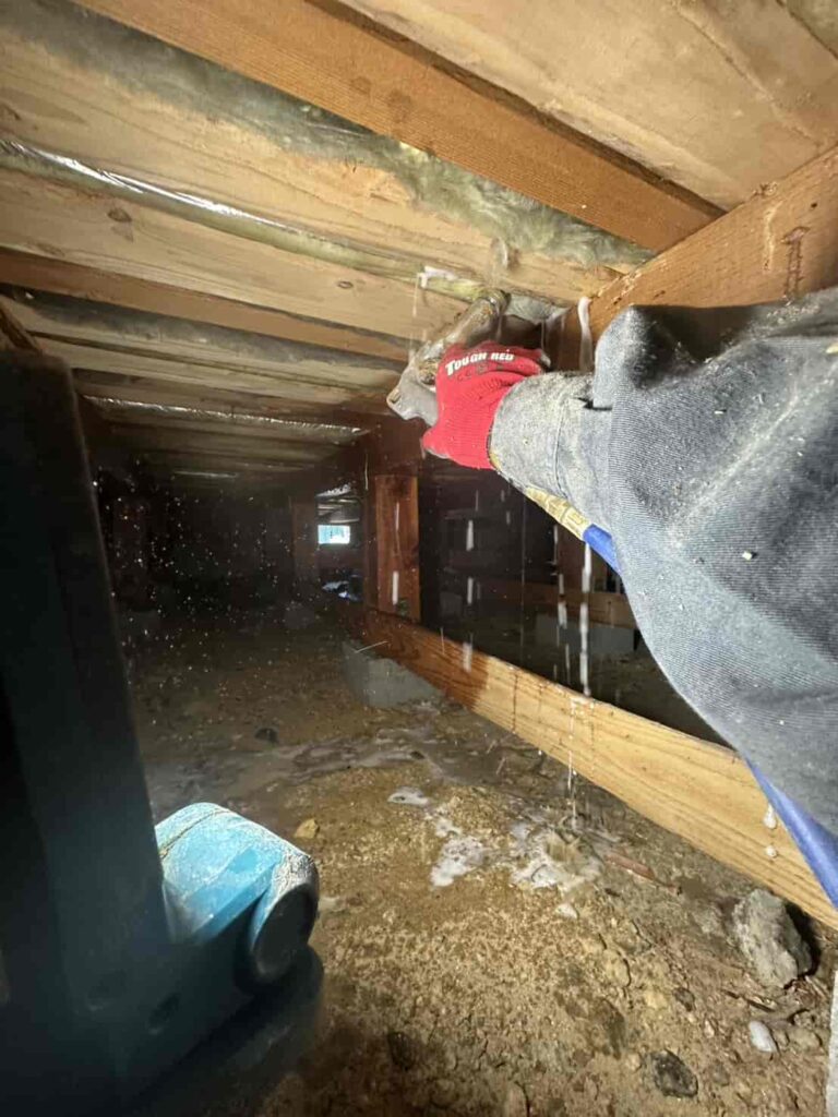 シロアリ駆除消毒工事｜神戸市垂水区