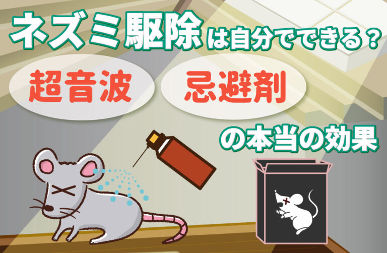ネズミ駆除は自分でできる？超音波・忌避剤の“本当の効果”