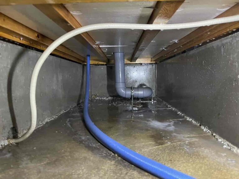 シロアリ消毒｜東京都武蔵村山市