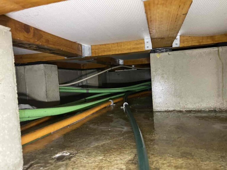 シロアリ消毒｜神奈川県綾瀬市