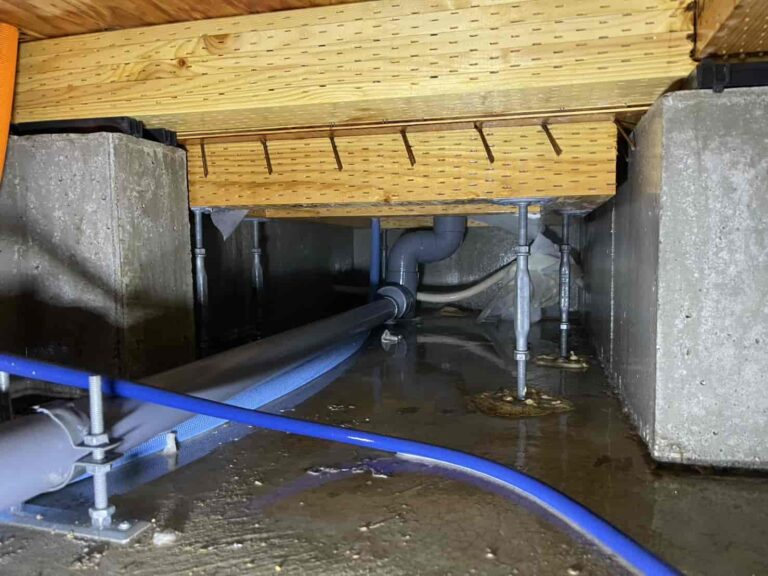 シロアリ消毒｜東京都練馬区