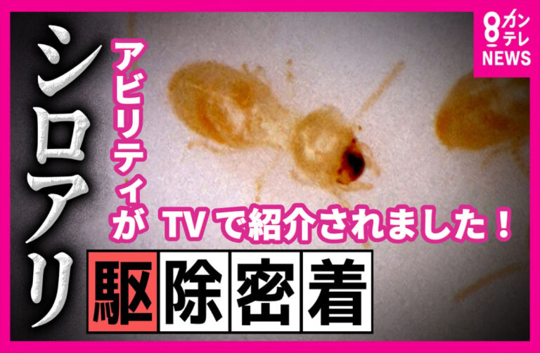 アビリティのシロアリ駆除現場がテレビで紹介されました｜カンテレ「newsランナー」
