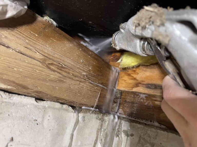 西東京市 ベランダ軒天の雨漏り修理（シロアリ駆除予防も同時に行いました）