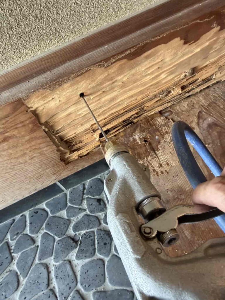 赤磐市（岡山県）でシロアリ駆除業者をお探しなら【アビリティ】