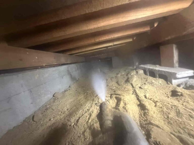 岡山市（岡山県）でシロアリ駆除のご依頼は「アビリティ」へ