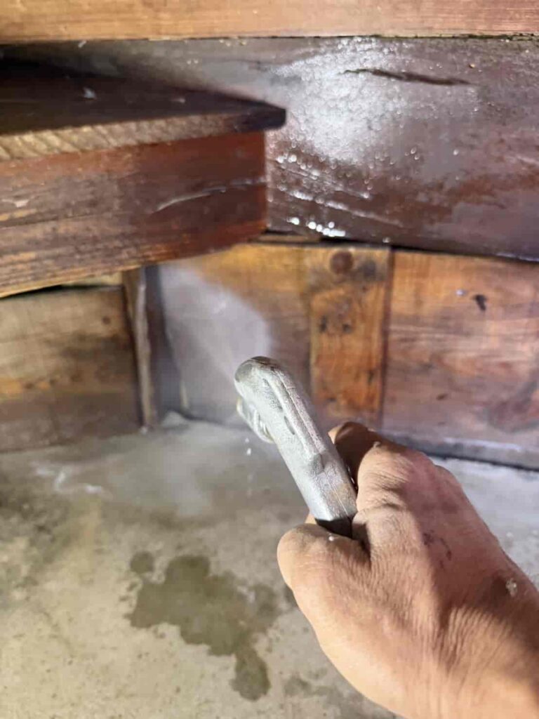 大阪市東淀川区でシロアリ・羽アリ駆除のご依頼は｜アビリティ