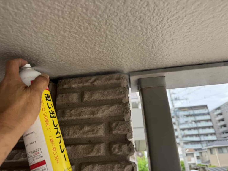 玄関前にコウモリのフンが大量発生｜京都市でコウモリ侵入対策工事を実施