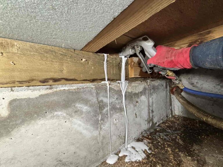 浴室トイレ周辺に蟻道確認｜京都市で白アリ駆除・薬剤散布工事を実施