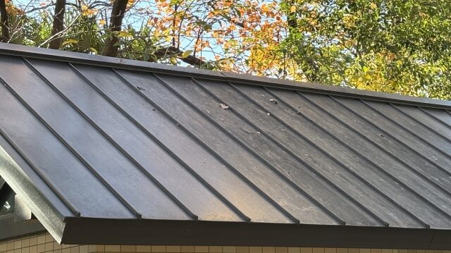 屋根に登る
