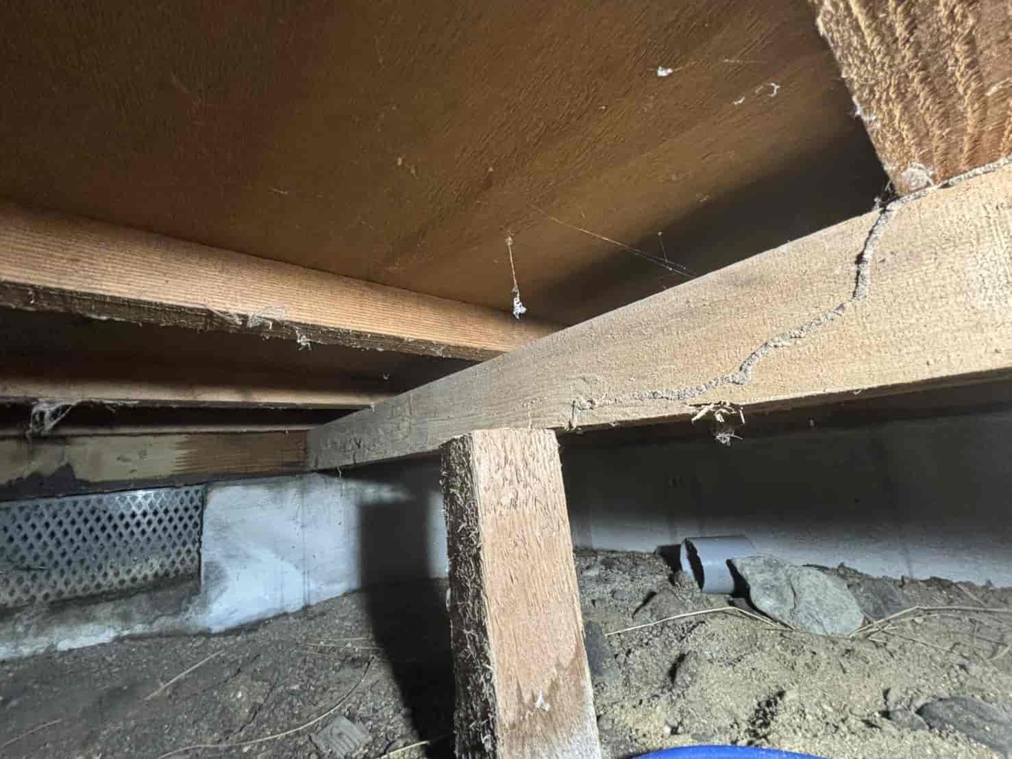 滋賀県大津市 シロアリ解体調査と薬剤施工