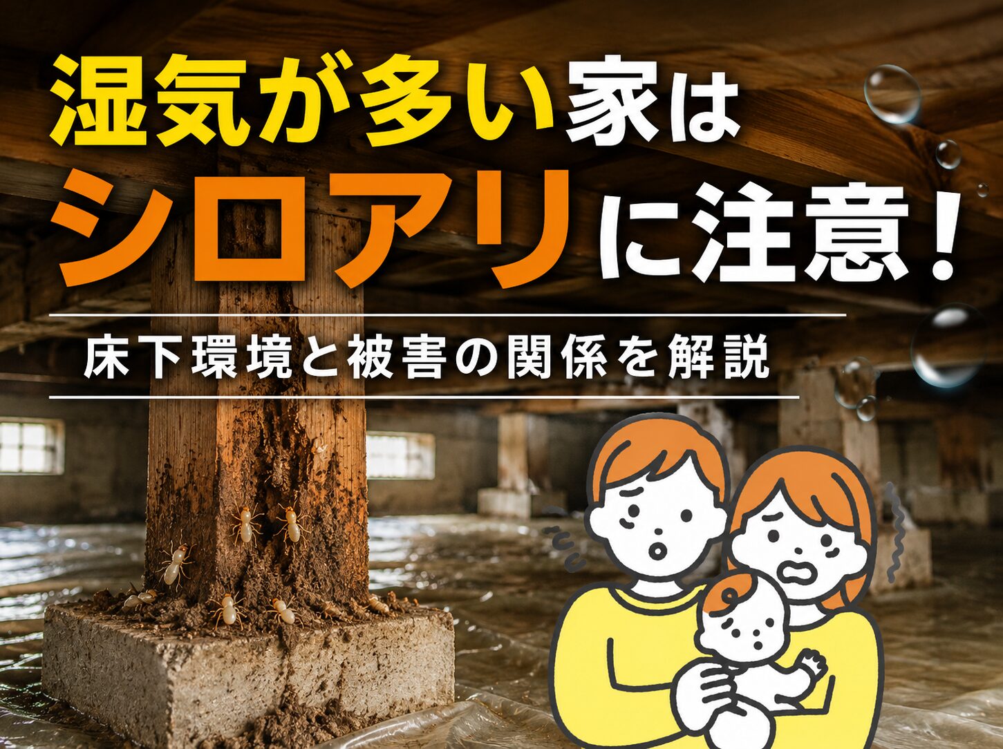 湿気が多い家はシロアリに注意！床下環境と被害の関係