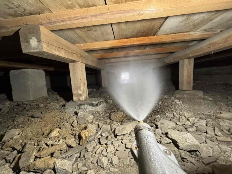 羽アリ発生で床下点検｜京都府亀岡市でシロアリ駆除を実施