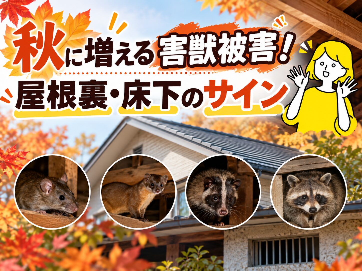 秋に増える害獣被害！屋根裏・床下のサイン
