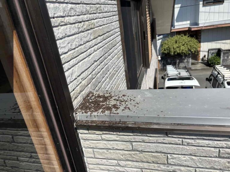 コウモリ駆除とフン被害の清掃対策 高松市